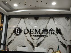 -DEM缔怡美科技美容