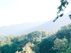 -波尔登森林公园