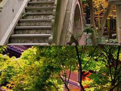 -鱼桥巷·美学川菜