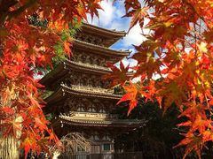 -醍醐寺