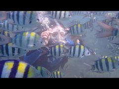 -亚龙湾海底世界