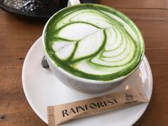 抹茶拿铁-Rainforest