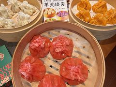 -百彦蒙古包·碳烤羊排·手抓羊肉(万江首店)