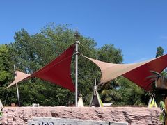 -ZOO COFFEE动物园咖啡(红山森林动物园店)