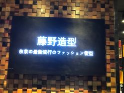 点击看大图 -藤野造型
