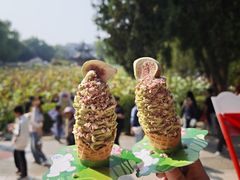 -莲池书院博物馆