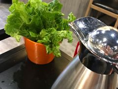 -古乐牛香·鲜牛肉牛杂火锅(五一中路店)