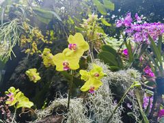 -北京植物园-展览温室