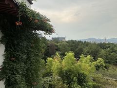 -唐风温泉