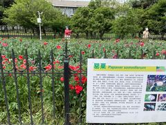 -国家植物园南园