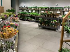 -鹿岛会员店 (龙湖三千集天街店)