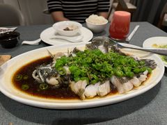 -新吉士·上海菜(浦东LCM置汇旭辉店)
