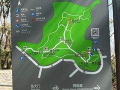 -上海佘山国家森林公园天马山园