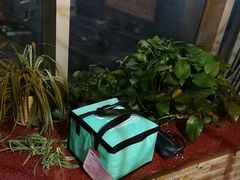 -EnergyCake蛋糕理想国