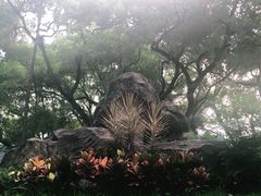-晓港公园