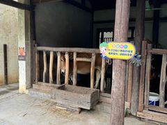 -乌村