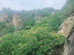 -北京鹫峰国家森林公园