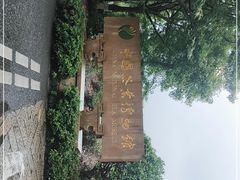 -中国茶叶博物馆(双峰馆区)