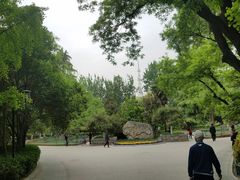 -莲湖公园