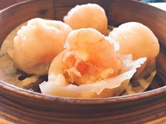虾饺-香江小厨 The Kitchen(香江俱乐部店)