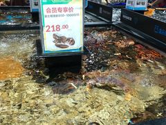 -盒马鲜生(曜一城店)