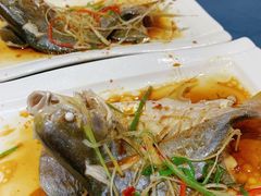-百年银屏蚝烙·潮汕菜·非遗(乐山店)