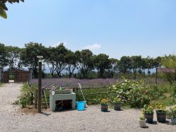 -DORA kids 朵拉儿童摄影花园店