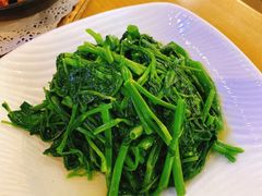 -台北楚楚园馅饼粥(虹桥南丰城店)