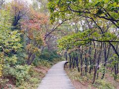 -帽儿山国家森林公园