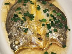 -金美华轩(东方路齐鲁店)