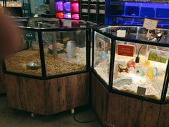 -宠物世家(仲盛世界商城店)