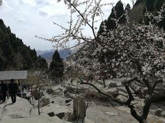 -狼牙山风景区