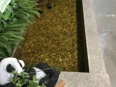 -松坂屋日料自助(长城路店)