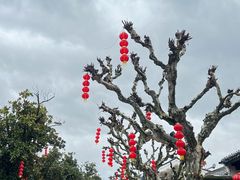 -蒋氏故居
