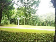 -顺峰山公园