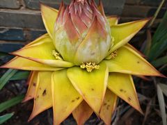 -老员外私厨小灶(南宁店)