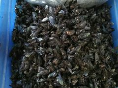 -清平中药材专业市场