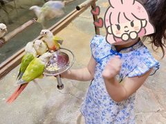 -泉城欧乐堡海洋极地世界