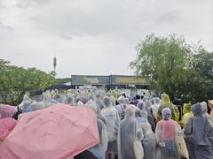 -上海国际音乐村