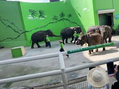 -大连森林动物园