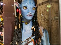 -奥兰多迪士尼动物王国乐园