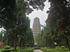 -法门文化景区