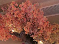 -君邦火锅(新疆大厦店)