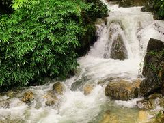 -鹿院坪生态旅游景区