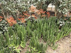 -南山植物园