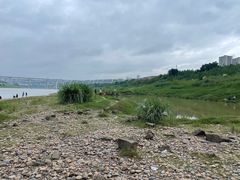 -金海湾滨江公园