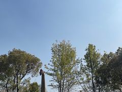 -自然谷恐龙园