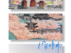 -西安青龙寺遗址景区