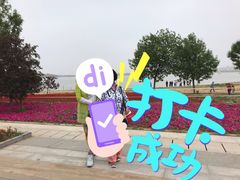 -武清南湖绿博园