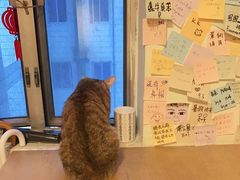 -H立方实景剧情密室(天河旗舰店)